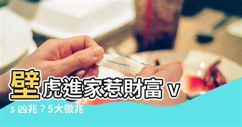 壁虎叫風水|房間壁虎多？風水師解答